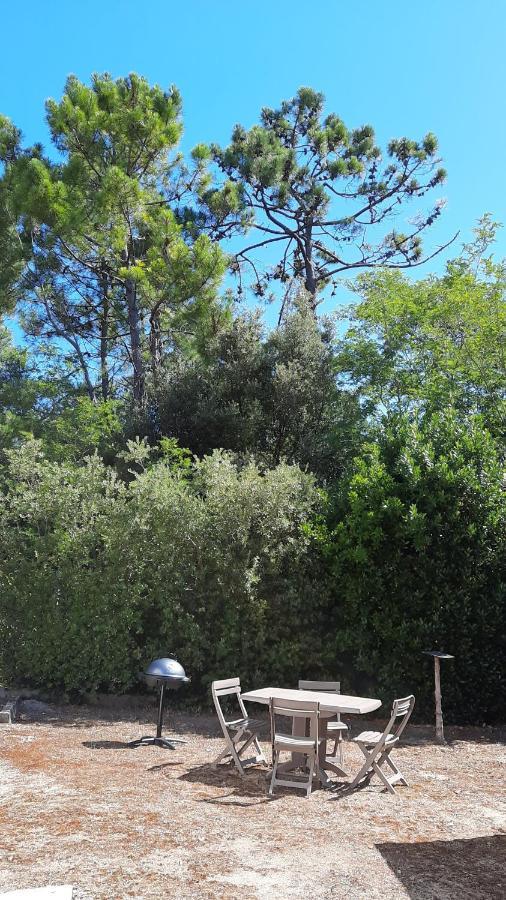 La Foret Des Rossignols - Maison 2 Chambres, Jardin Et Terrasse Saint-Jean-de-Monts Eksteriør billede