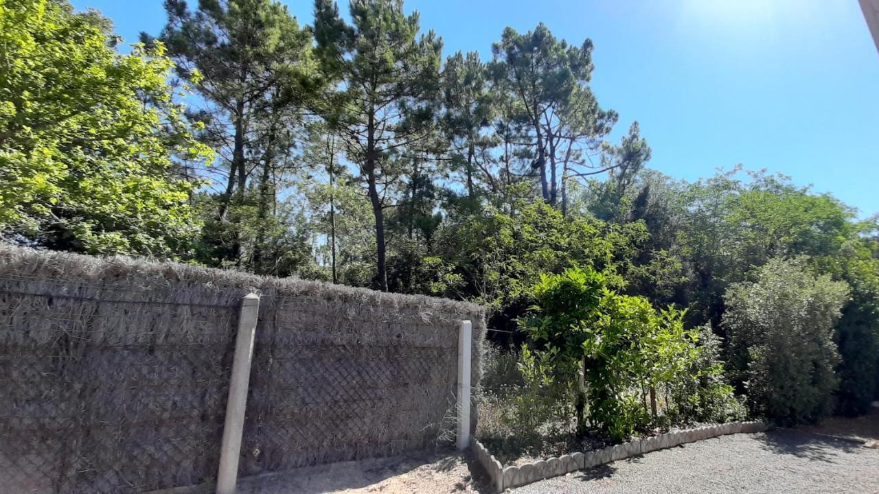 La Foret Des Rossignols - Maison 2 Chambres, Jardin Et Terrasse Saint-Jean-de-Monts Eksteriør billede
